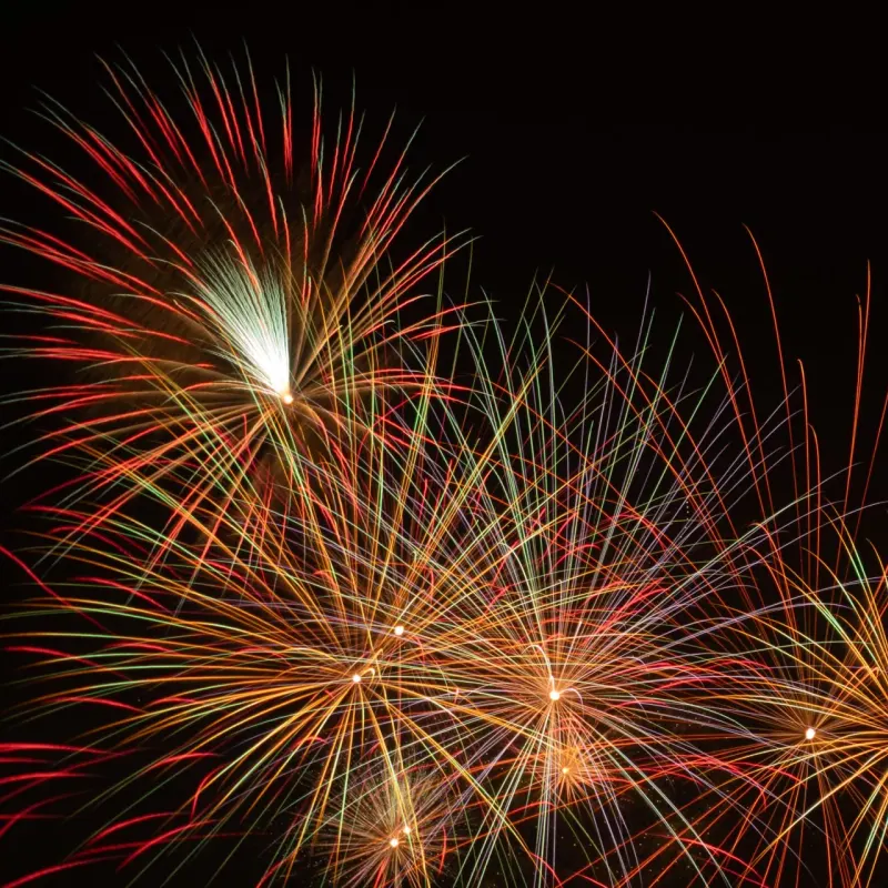 Colourful fireworks bursting across a dark night sky