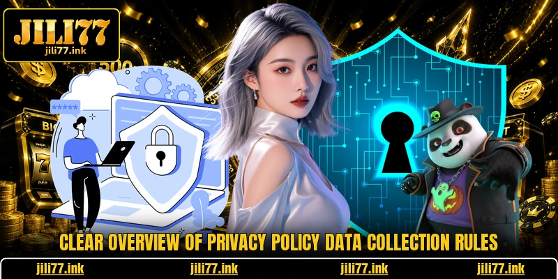 Clear overview of privacy policy data collection rules